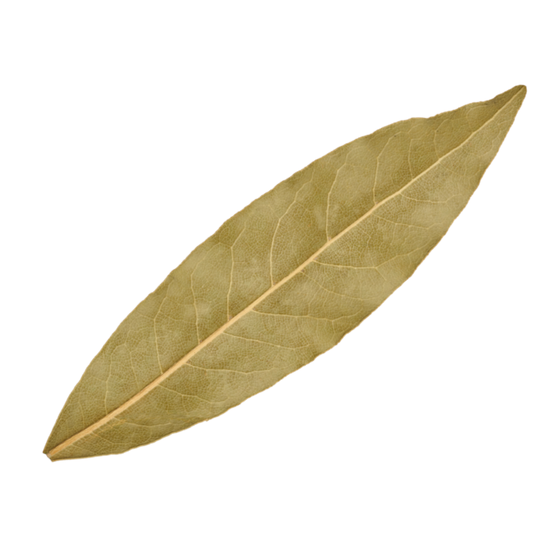 Дафинов лист